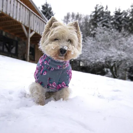 Forestside Escape Near *