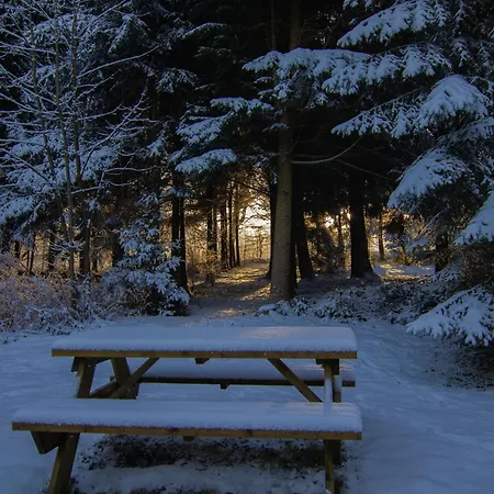 Forestside Escape Near * La-Roche-en-Ardenne