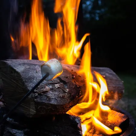 Forestside Escape Near