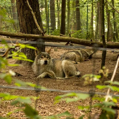 Σπίτι διακοπών Forestside Escape Near